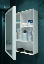 Mirror Cabinet